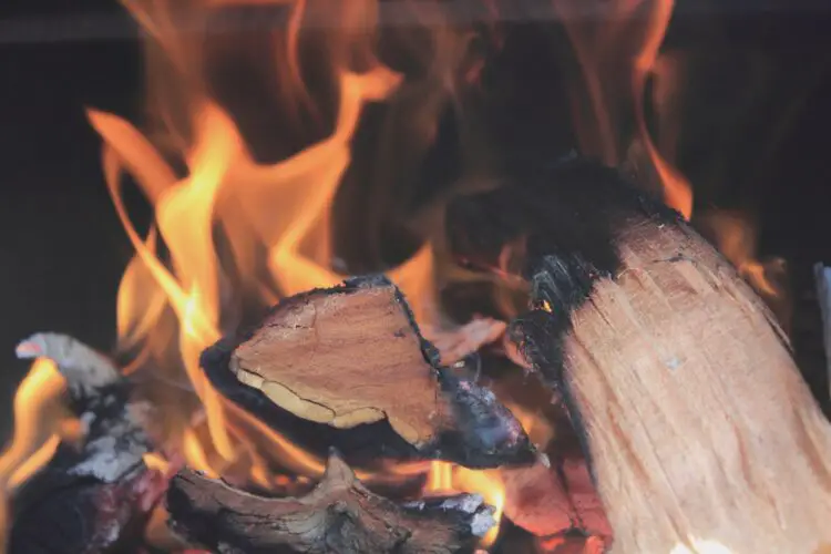 wood burners